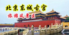 骚逼被操视频极品黑丝中国北京-东城古宫旅游风景区